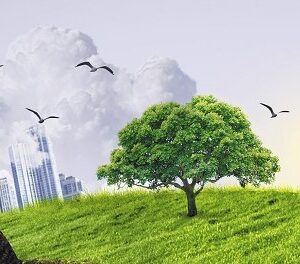 Охрана окружающей среды и экологическая безопасность